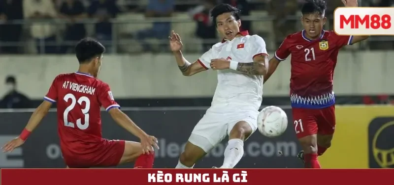 Tìm Hiểu Về Kèo Rung 3 Kèo Rung là gì